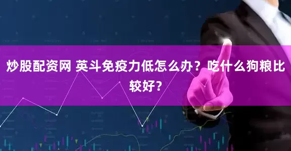 炒股配资网 英斗免疫力低怎么办？吃什么狗粮比较好？